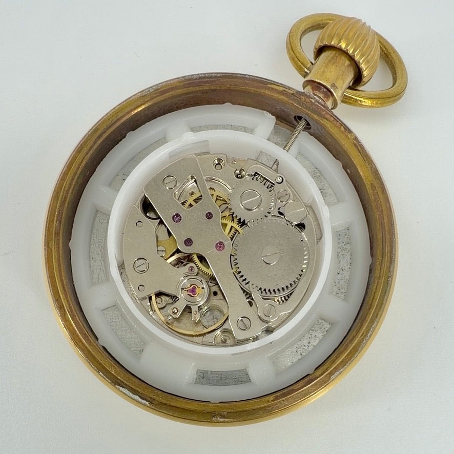 Modern Mechanical Pocket Watch with Chain – Working