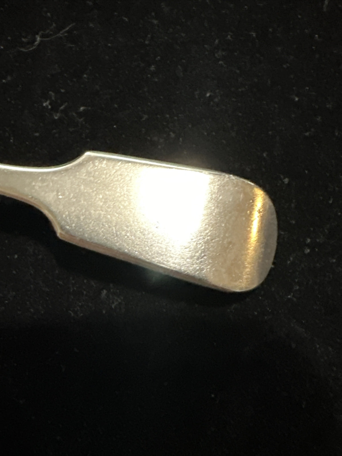 Antique Silver Plate Salt Spoon