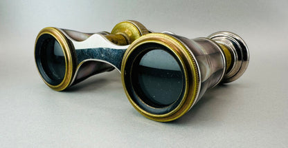 Antique Mother of Pearl Opera Glasses with Case – Excellent Condition