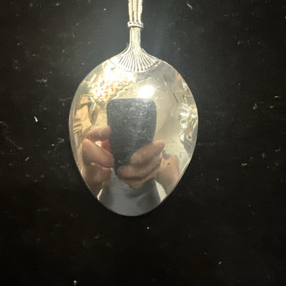 Boxed Vintage French Samoens Souvenir Spoon