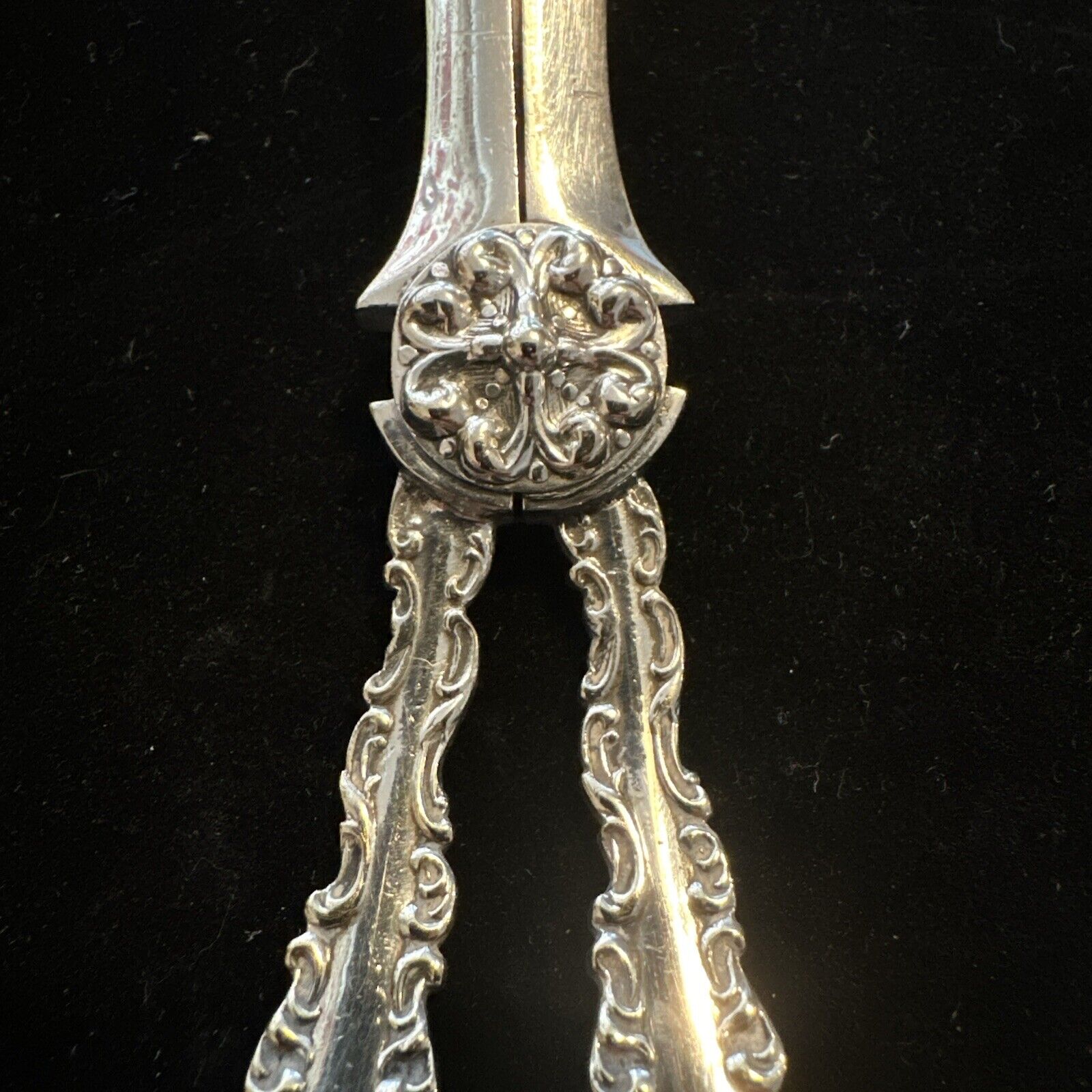 Antique Silver Plate Grape Scissors - Lee & Wigfull - Late 19th Century