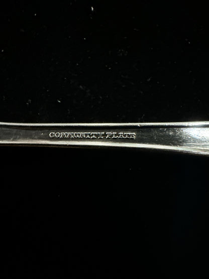 Antique Silver Plate Pusher - Community Plate