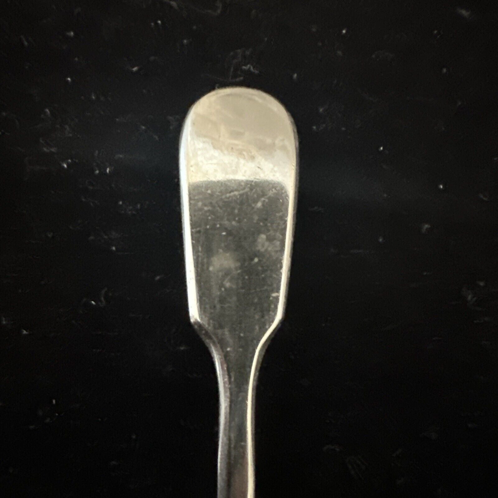 Antique Silver Plate Salt Spoon
