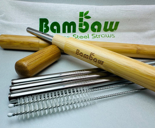 Eco-Friendly Stainless Steel Straw Set with Bamboo Travel Cases – Reusable