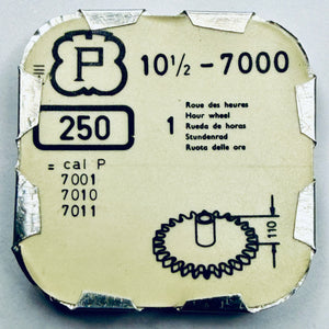 Descriptive image text