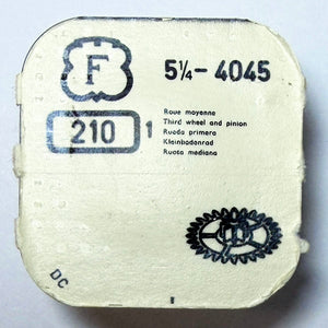 Descriptive image text